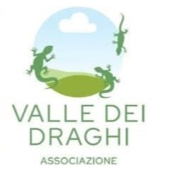 Associazione Valle dei draghi Aps